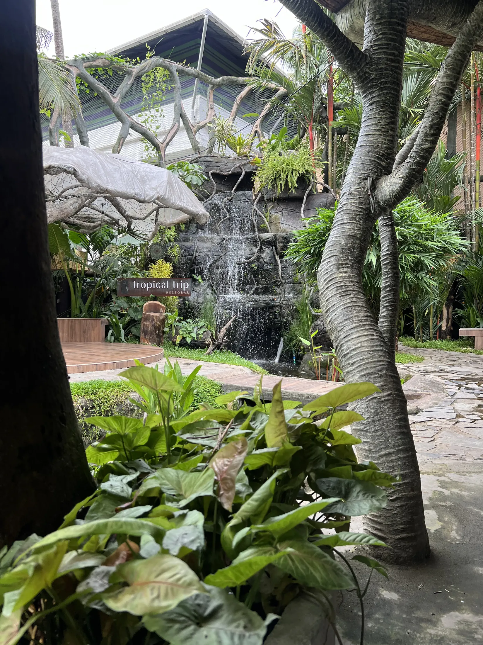 Chandys Drizzle Drops Luxury Resort, Top Station, Munnar featured project image